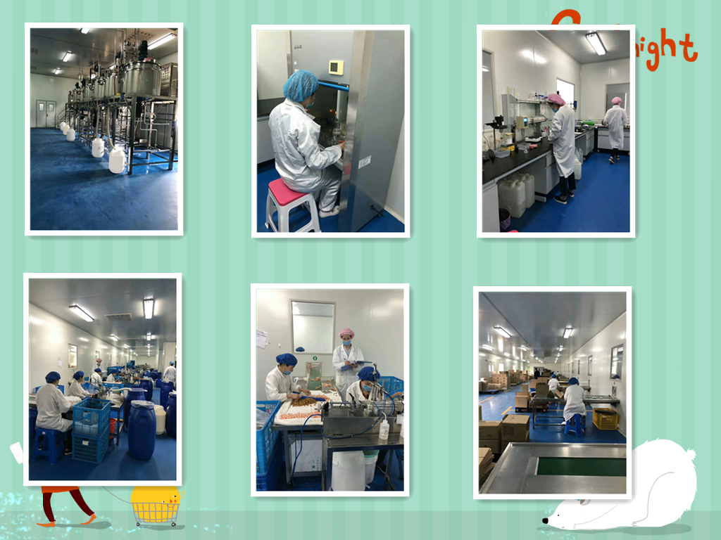 ECO kind hotel dental kit/hotel dental set/hotel toothbrush with toothpaste