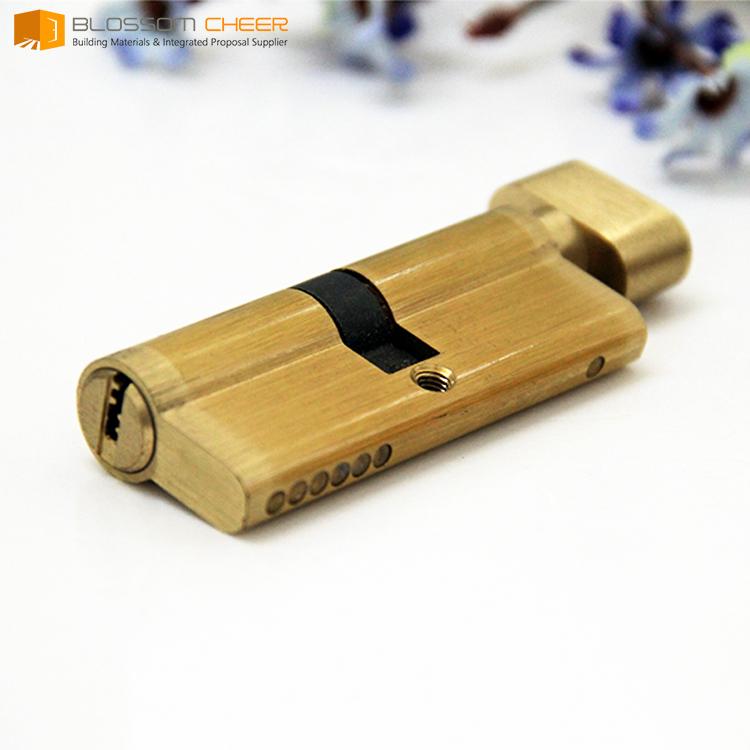 Popular design sri lanka luxury door handles locks interior door handle
