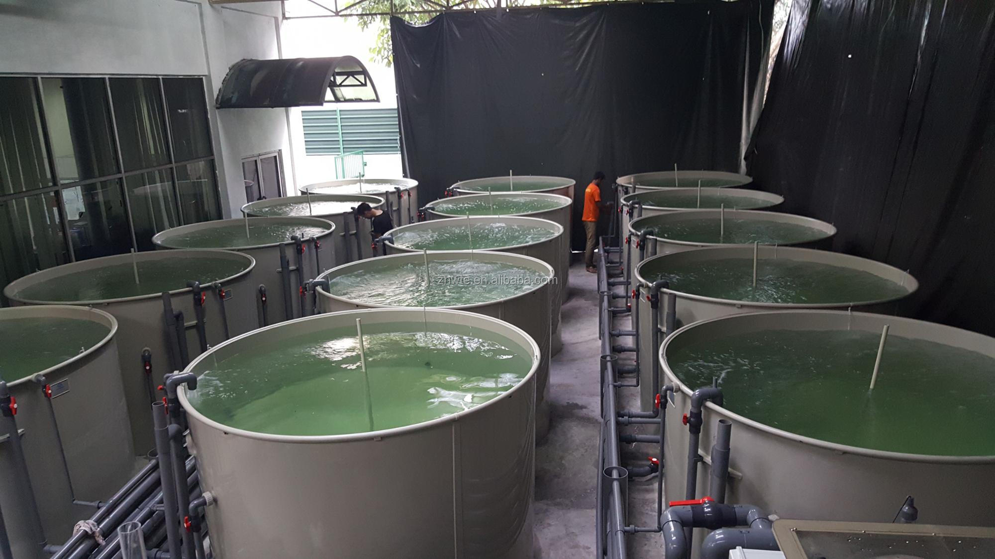 Circular Fish Farming Tank for Commercial Fish Farm,pp fish tank for ras,customize indoor ras fish farming tank