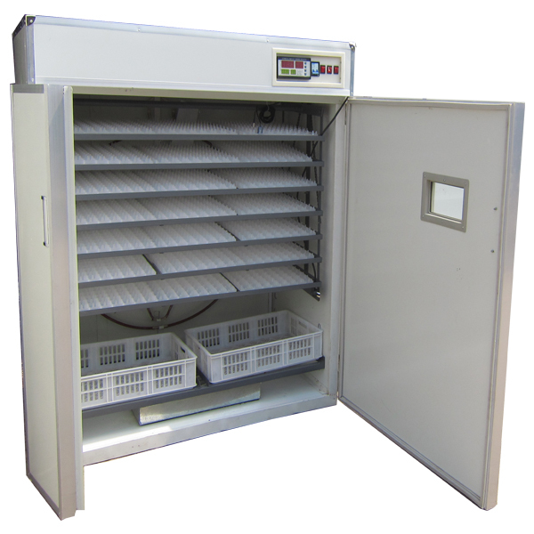 制造鸡卵孵化器雏鸟廉价鸡蛋孵化器出售