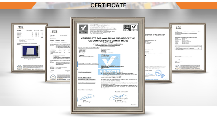 Customized Brand Logo Elegant Luxury Boutique Shopping White Shopping Paper Gift Bags With Ribbon Handles