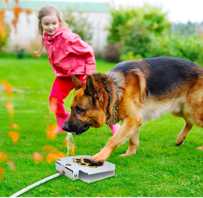 Fontaine à eau douce pour chien d'extérieur durable et amusante - Distributeur automatique d'eau douce à pédale