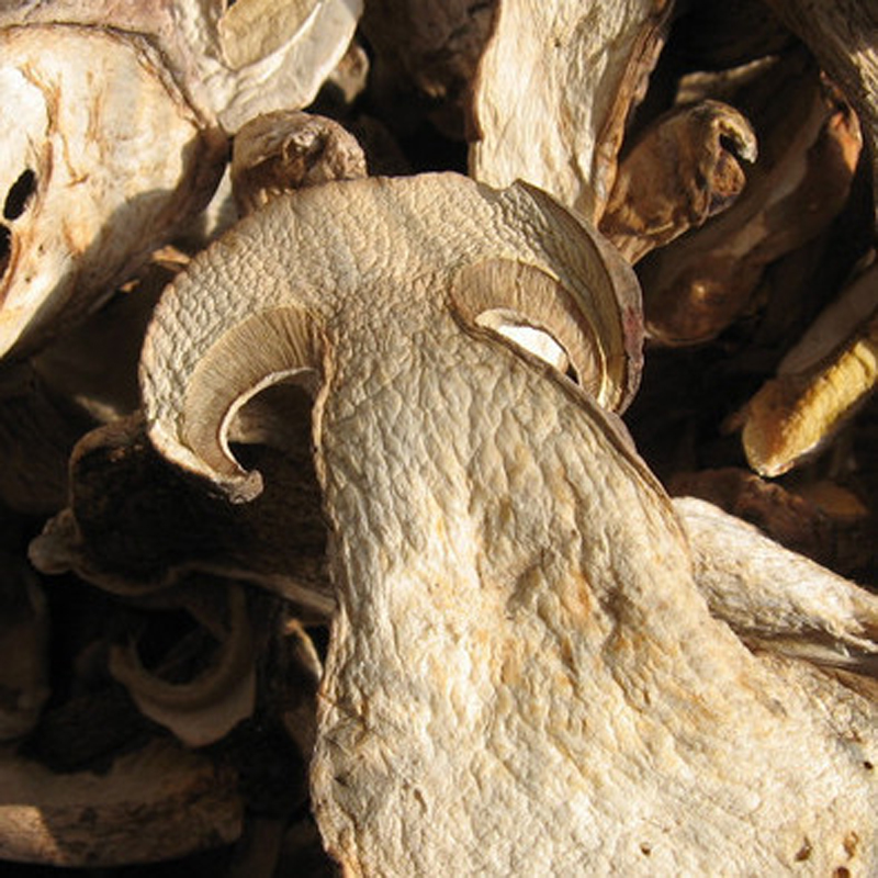 detan 干猪肝菌蘑菇