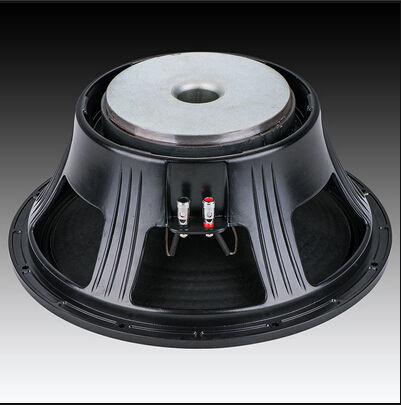 Woofer P Audio Speaker Bass 15 Inch PA Speaker 500 Watts Bass
