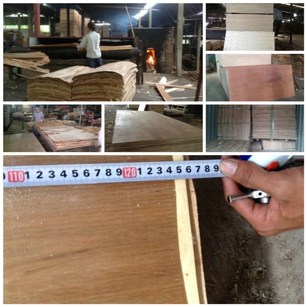 Commercial Plywood mainly 8/8.5/11/11.5mm thickness mixed wood core exporting to Malaysia market