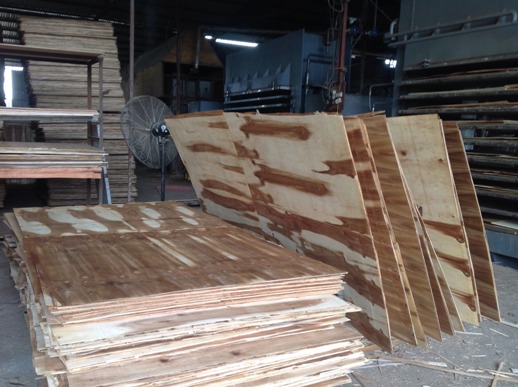Commercial Plywood (8mm x 1220mm x 2440mm)