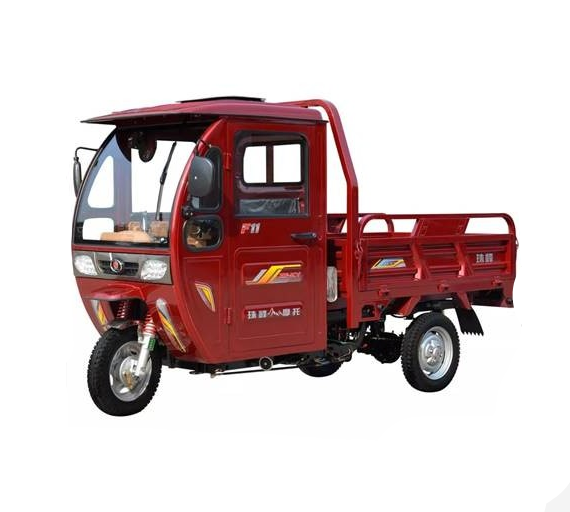 厂家直销3轮货物动力800w 60v成人电动三轮车 - buy electric