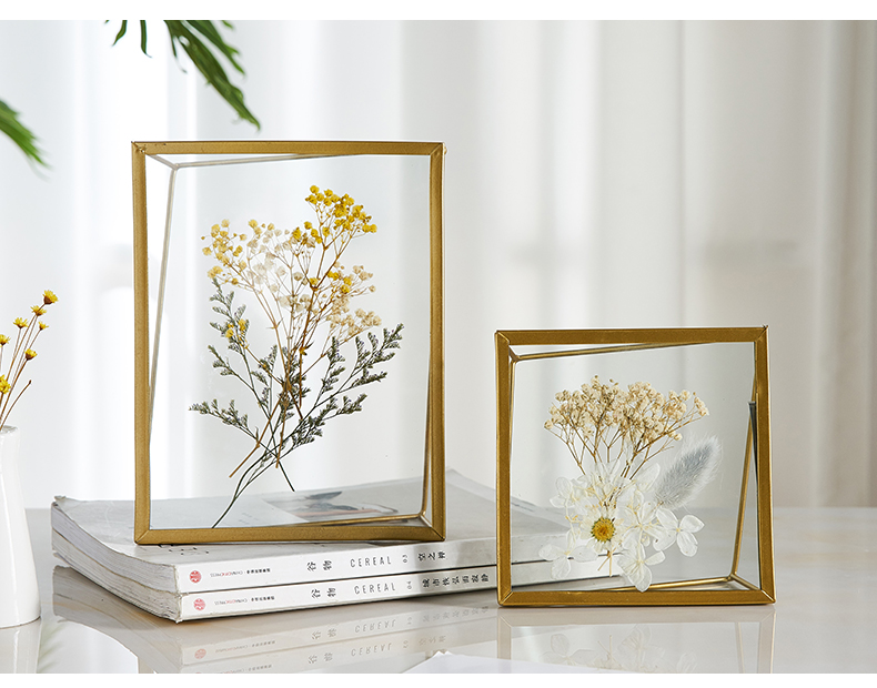 漢方標本フレーム 漢方標本フレーム 漢方標本フレーム magnet フラワーフレーム SPECIMEN