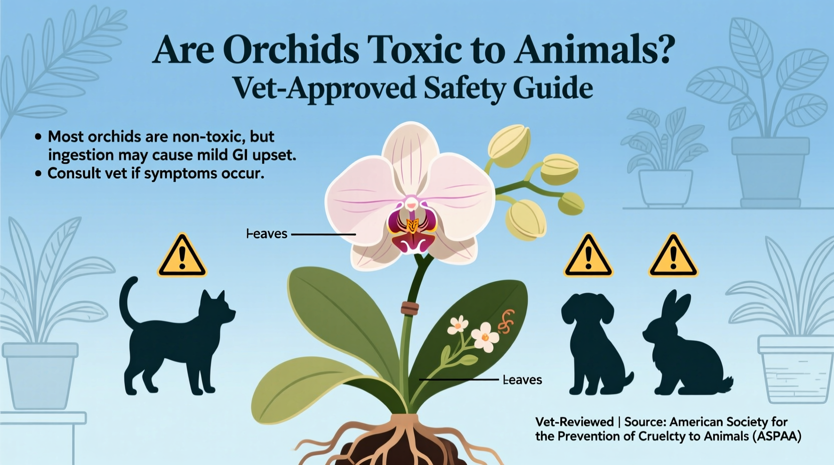 are orchids toxic to animals