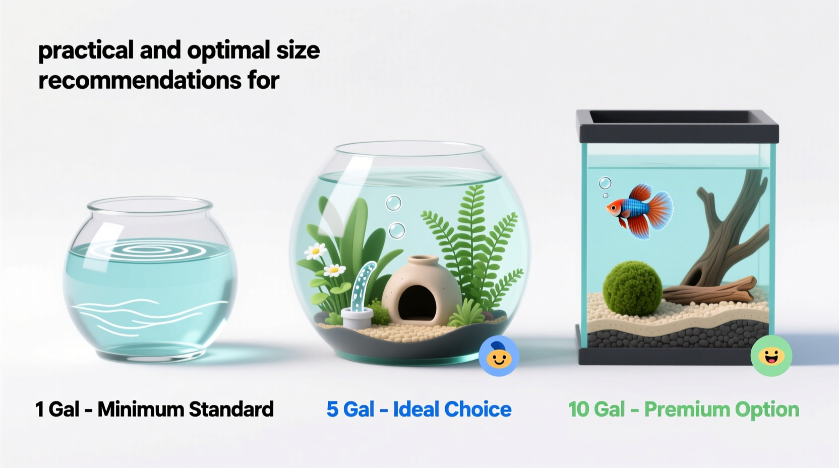 Curated visual reference: What Is The Ideal Tank Size For A Food Intensive Reference: Choosing The Best Size Tank For Betta Practical Options For