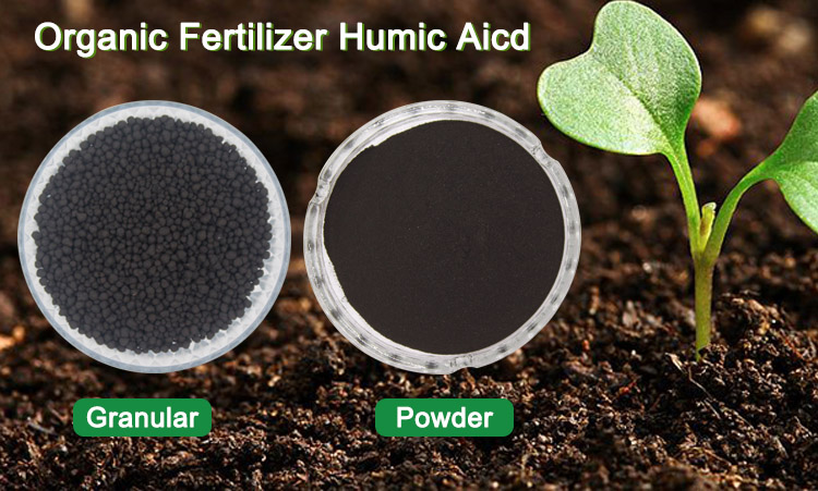 Potassium humate shiny crystal with Fulvic acid