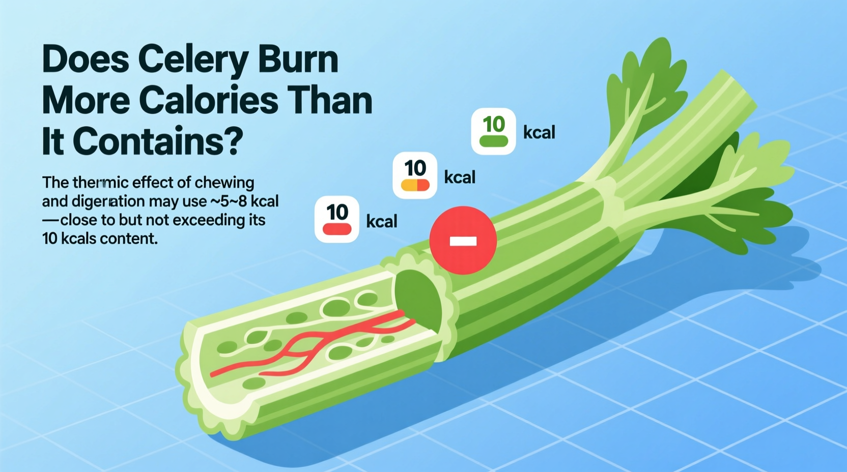 Celery Negative Calories: Myth vs Science-Based Facts