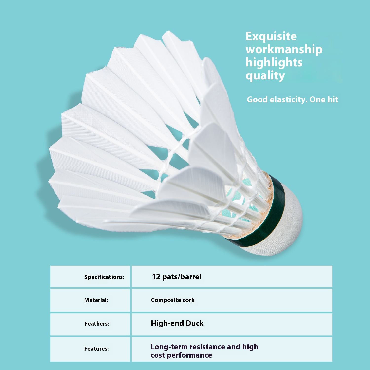 What Is a Black Hawk Bird and What Does It Symbolize?