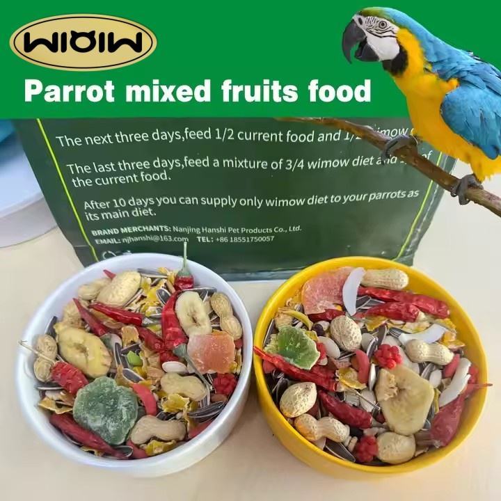 How to Attract Birds to a Bird Feeder Successfully