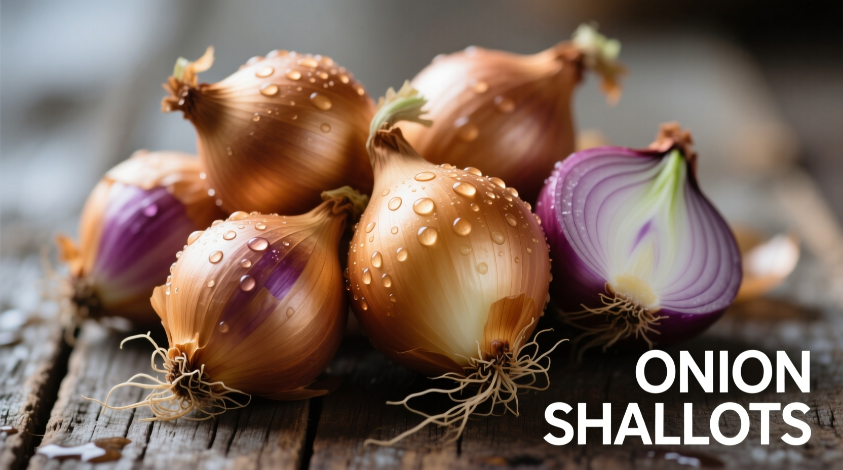 onion shallots