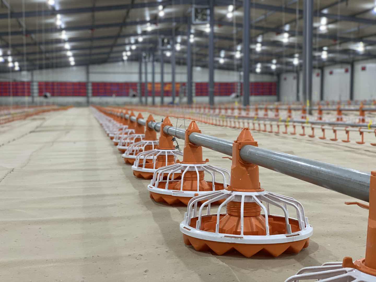 14/16 partitions Poultry Farm Equipment Plastic Chicken Feeders And Drinkers