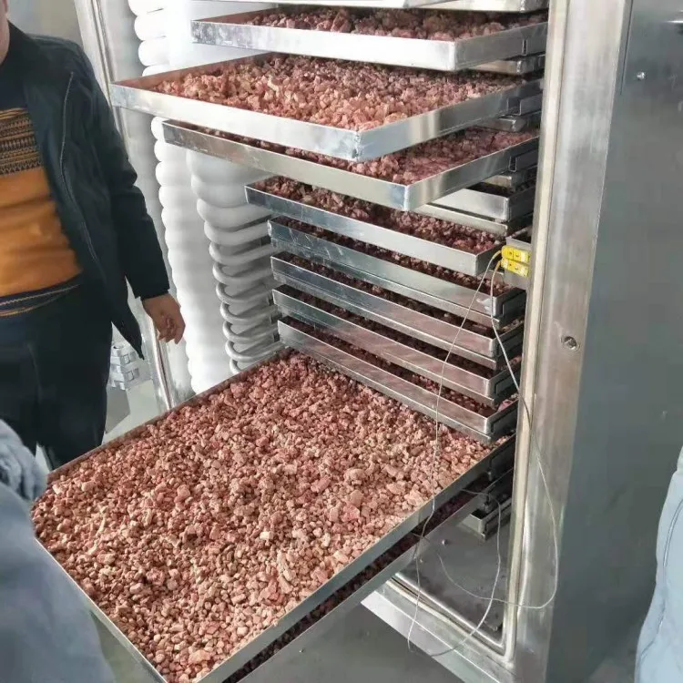 Commercial industrial  lyophilize australia food vacuum freeze dryer machine