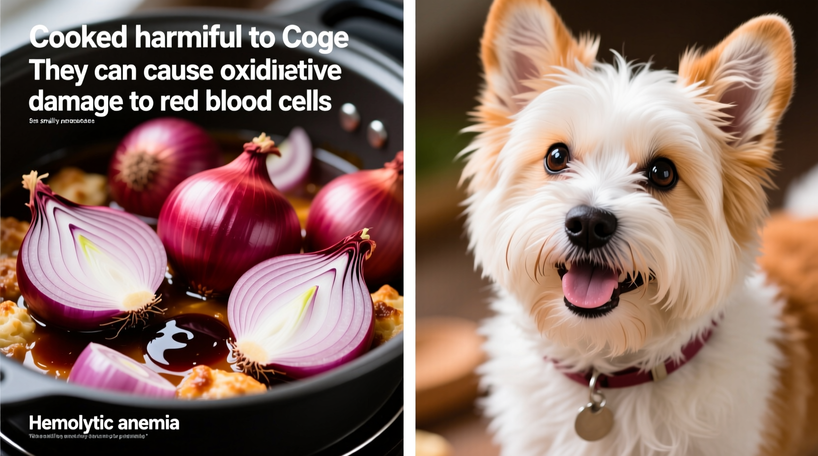 Cooked Onions and Dogs: Immediate Danger Explained
