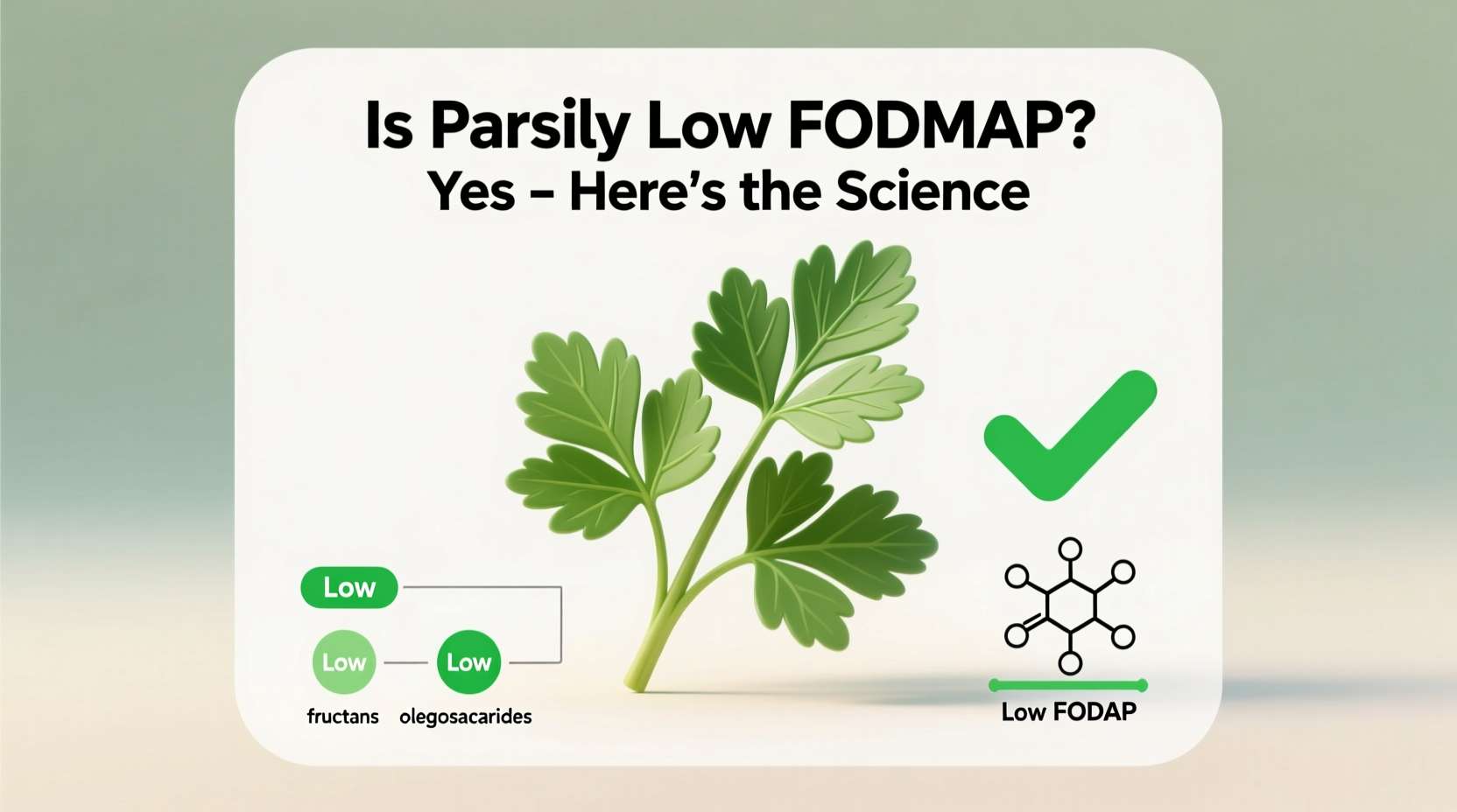 Is Parsley Low FODMAP? Yes – Here's the Science