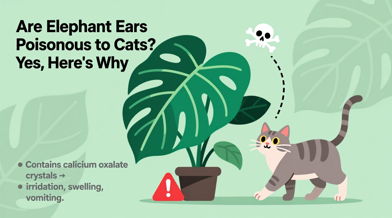 are elephant ears poisonous to cats