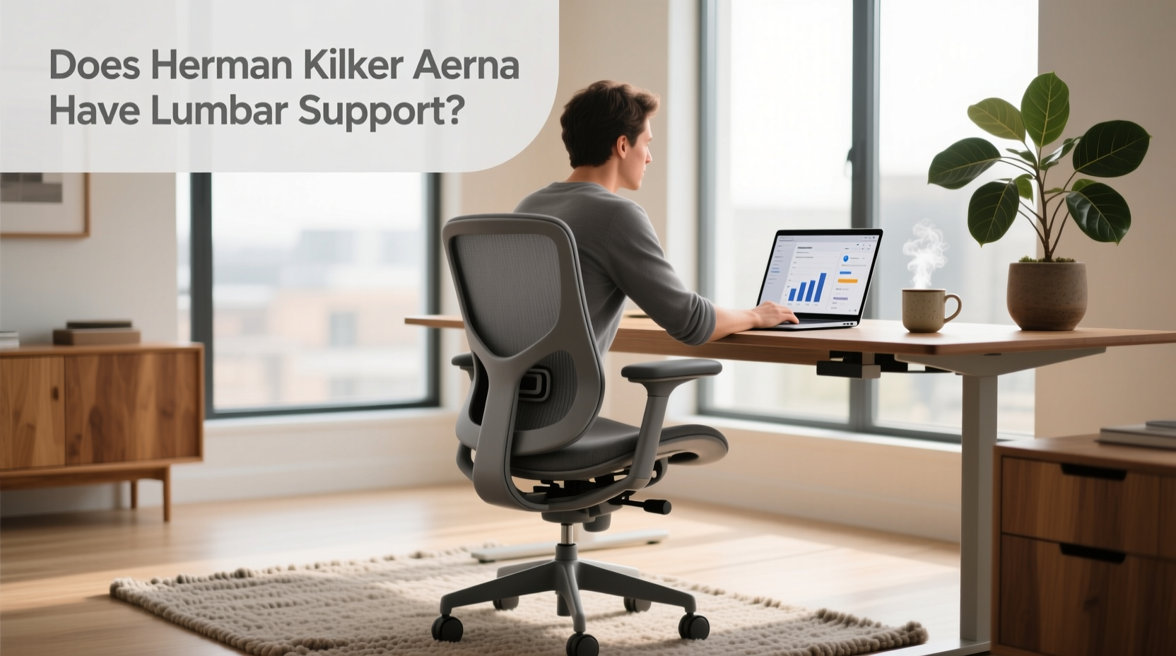 Herman Miller Aeron Lumbar Support Guide