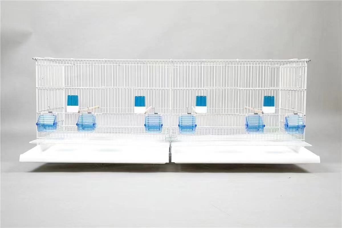 Image result for How to Make an Aviary for Birds: A Complete Guide