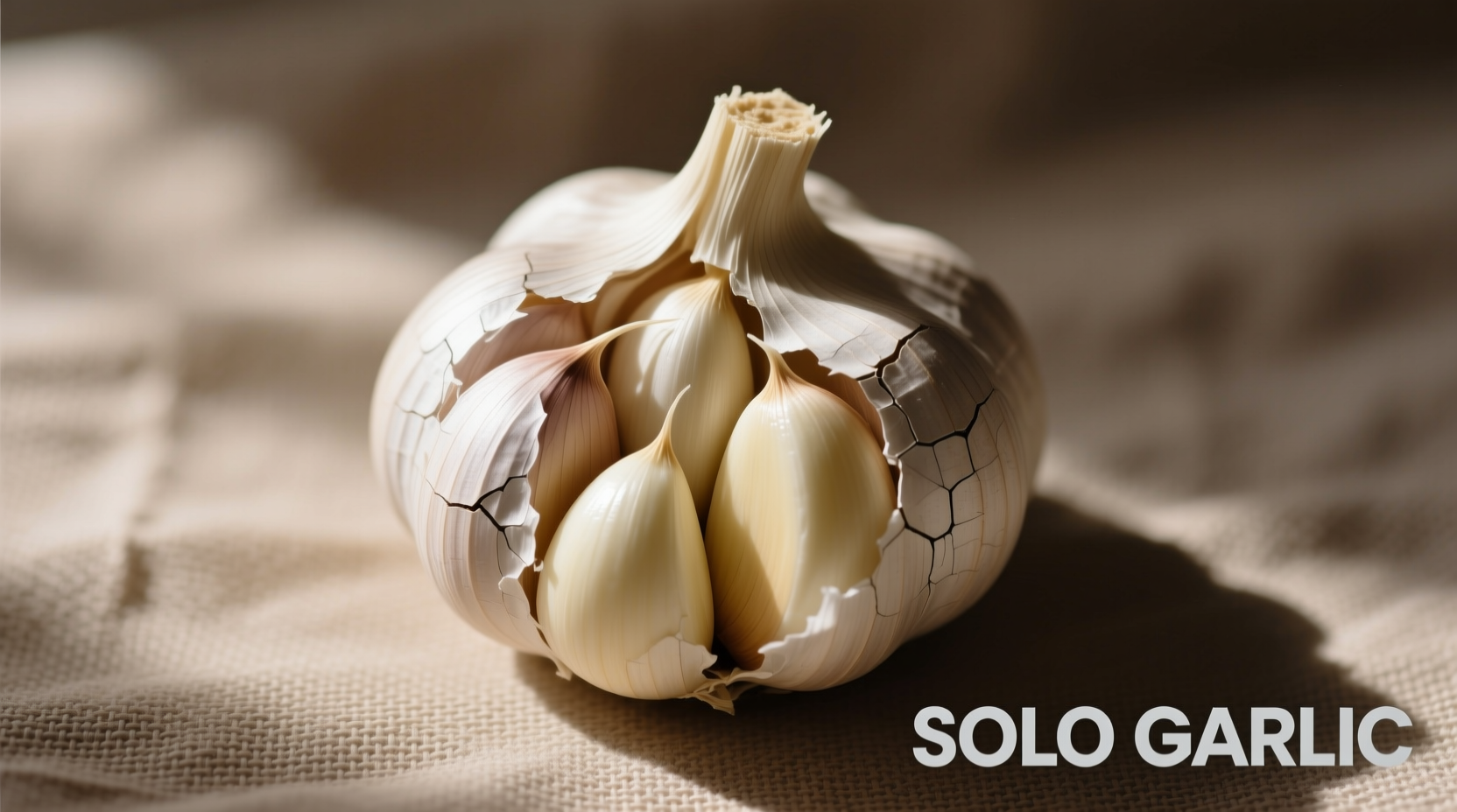 Solo Garlic: Benefits, Uses & Cooking Guide