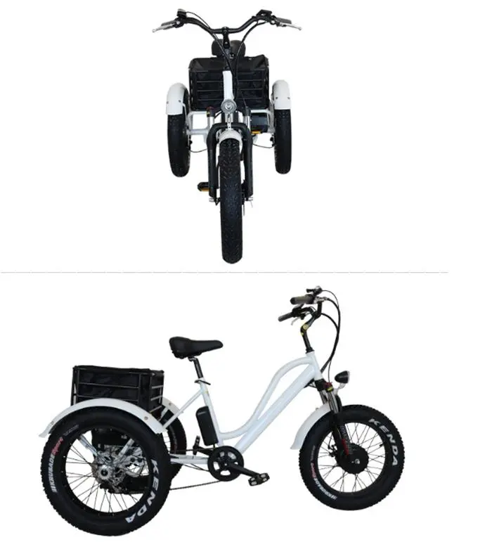 International Dropshipping Strong Powered Powerful electric tricycles Fat Cargo Bicycle 3 Wheeler Electric Bike Three Wheels