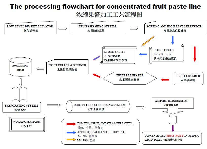 Mango Juice Concentrate Processing Plant Small Scale 1t/H