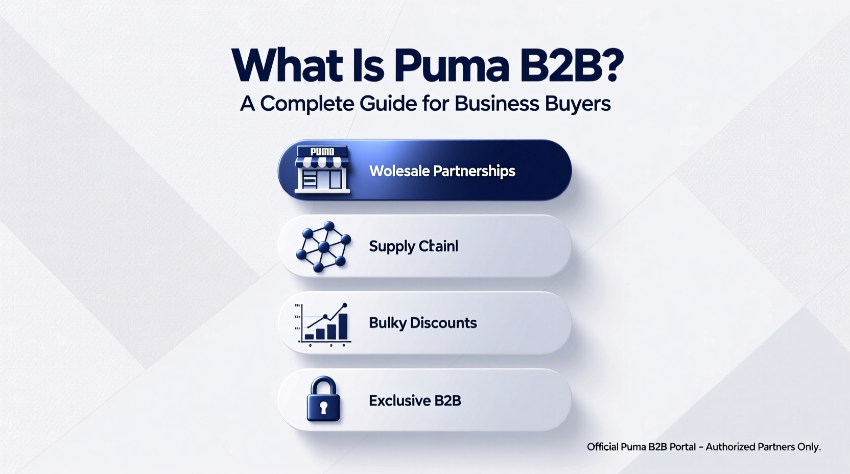 what is puma b2b