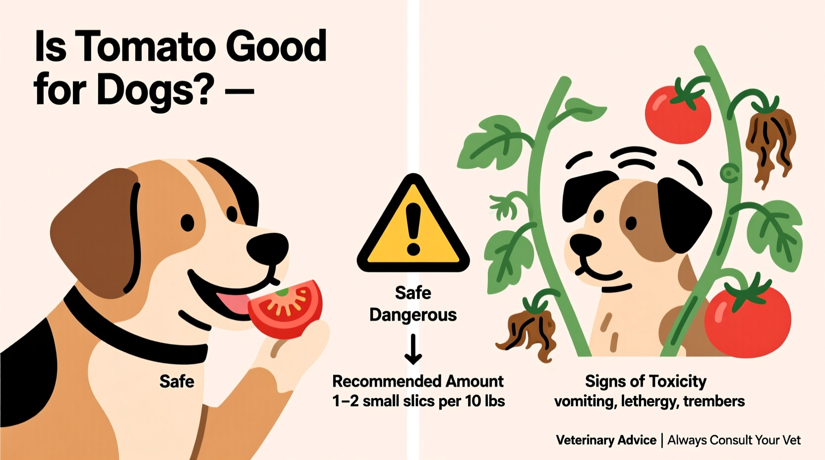 Are Tomatoes Safe for Dogs? Vet-Approved Facts