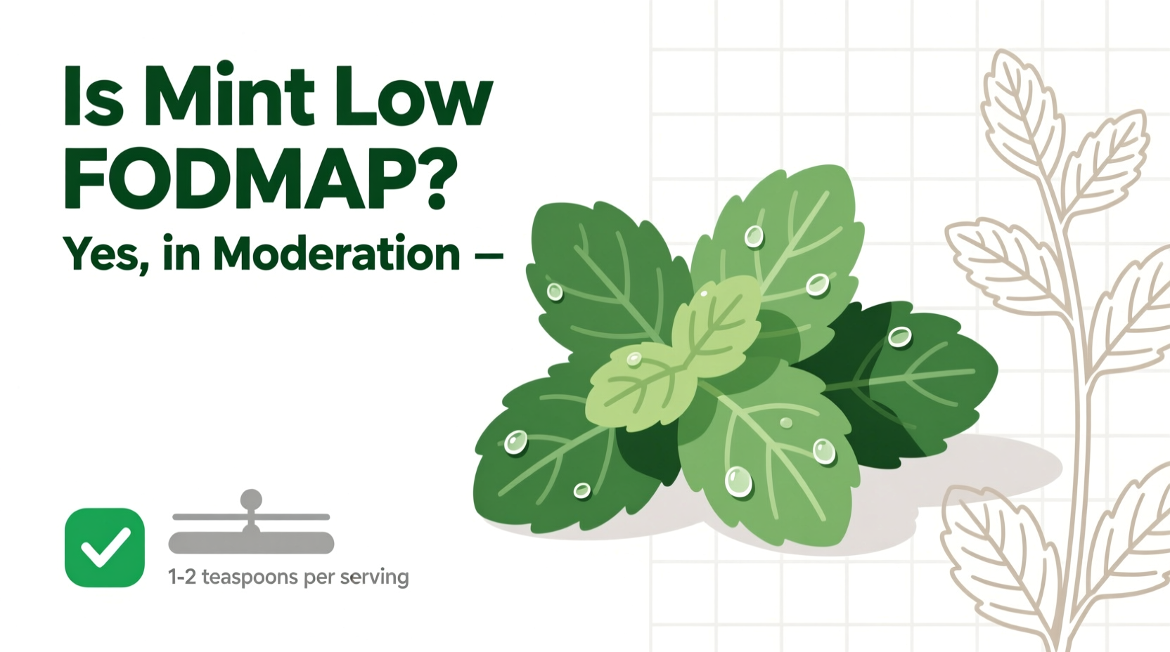 Is Mint Low FODMAP? Yes, in Moderation