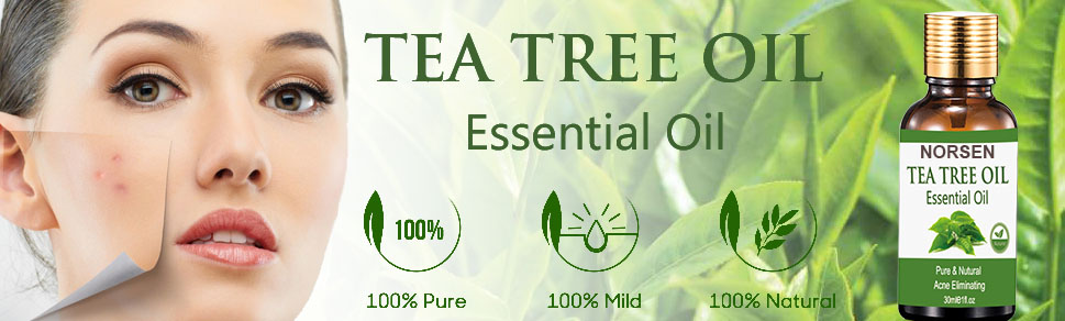 Wholesale High Quality 100% Pure Natural Organic Tea Tree Essential Oil