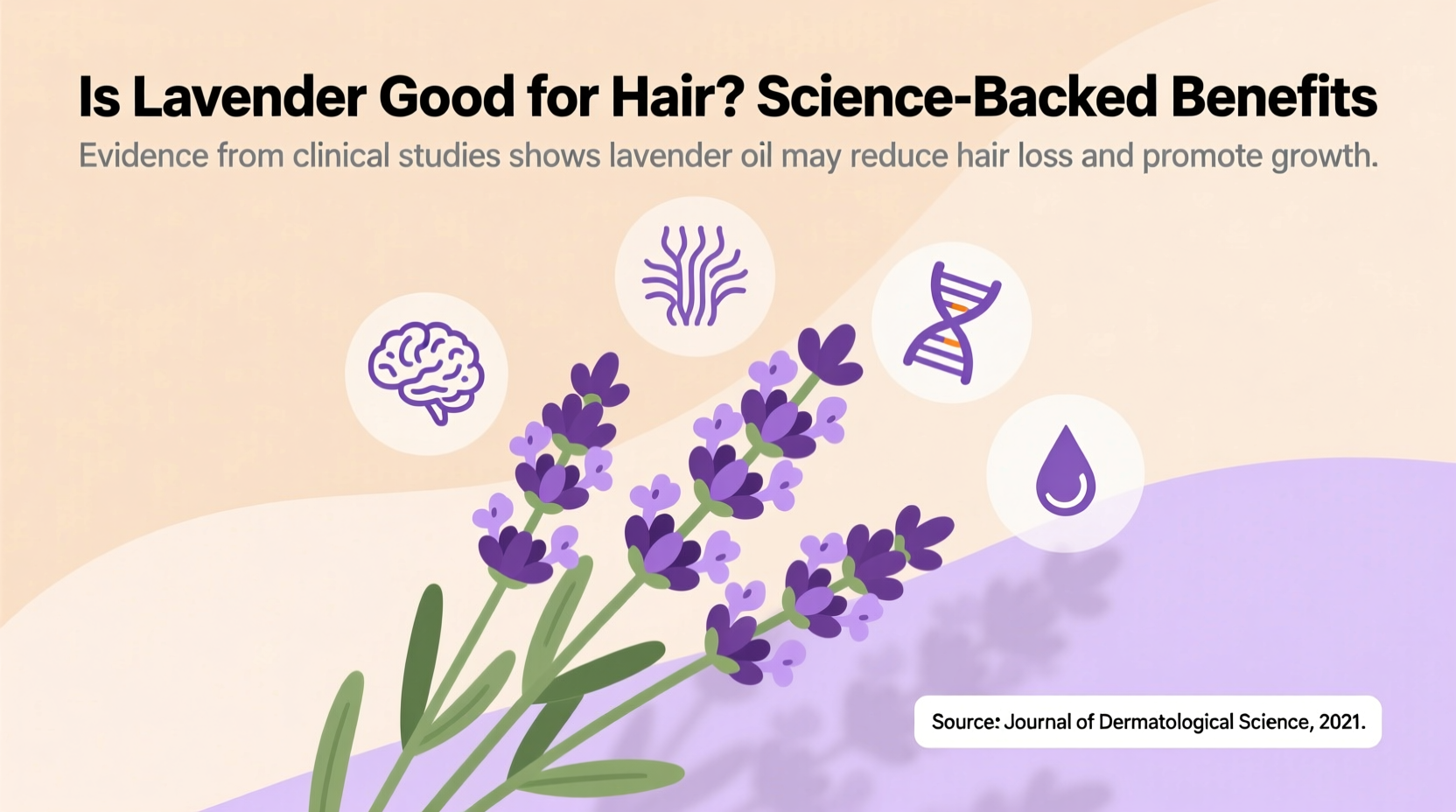 Is Lavender Good for Hair? Science-Backed Benefits