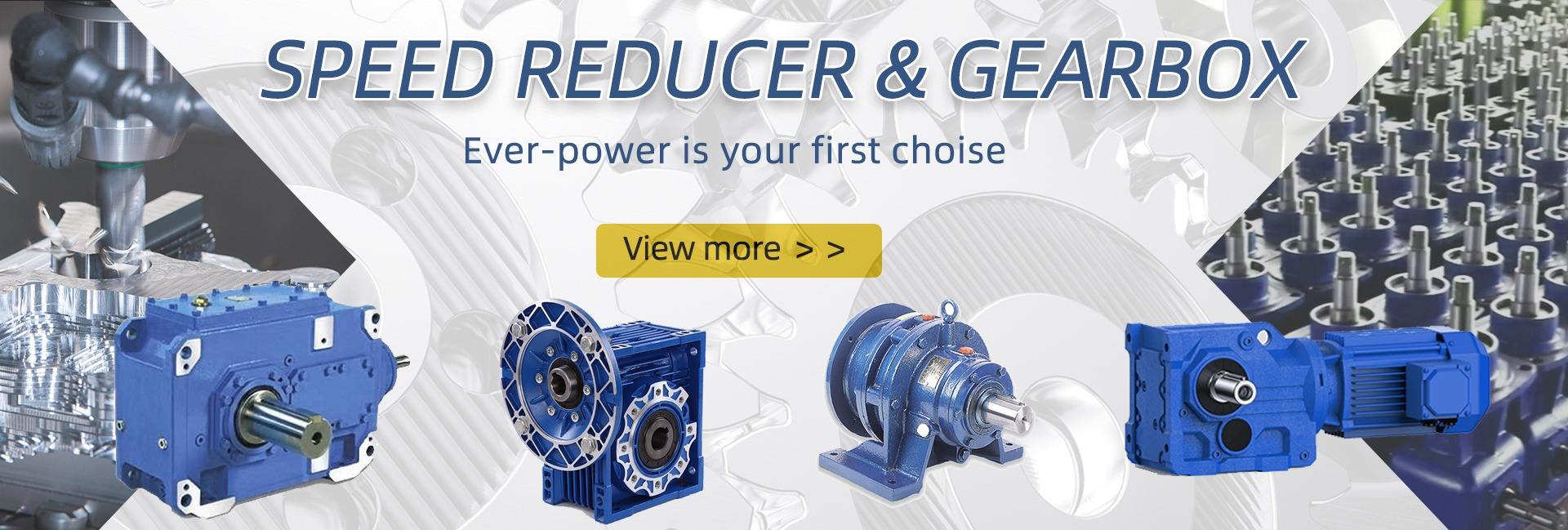 Hangzhou EverPower Transmission Co., Ltd. Sprocket, Chain