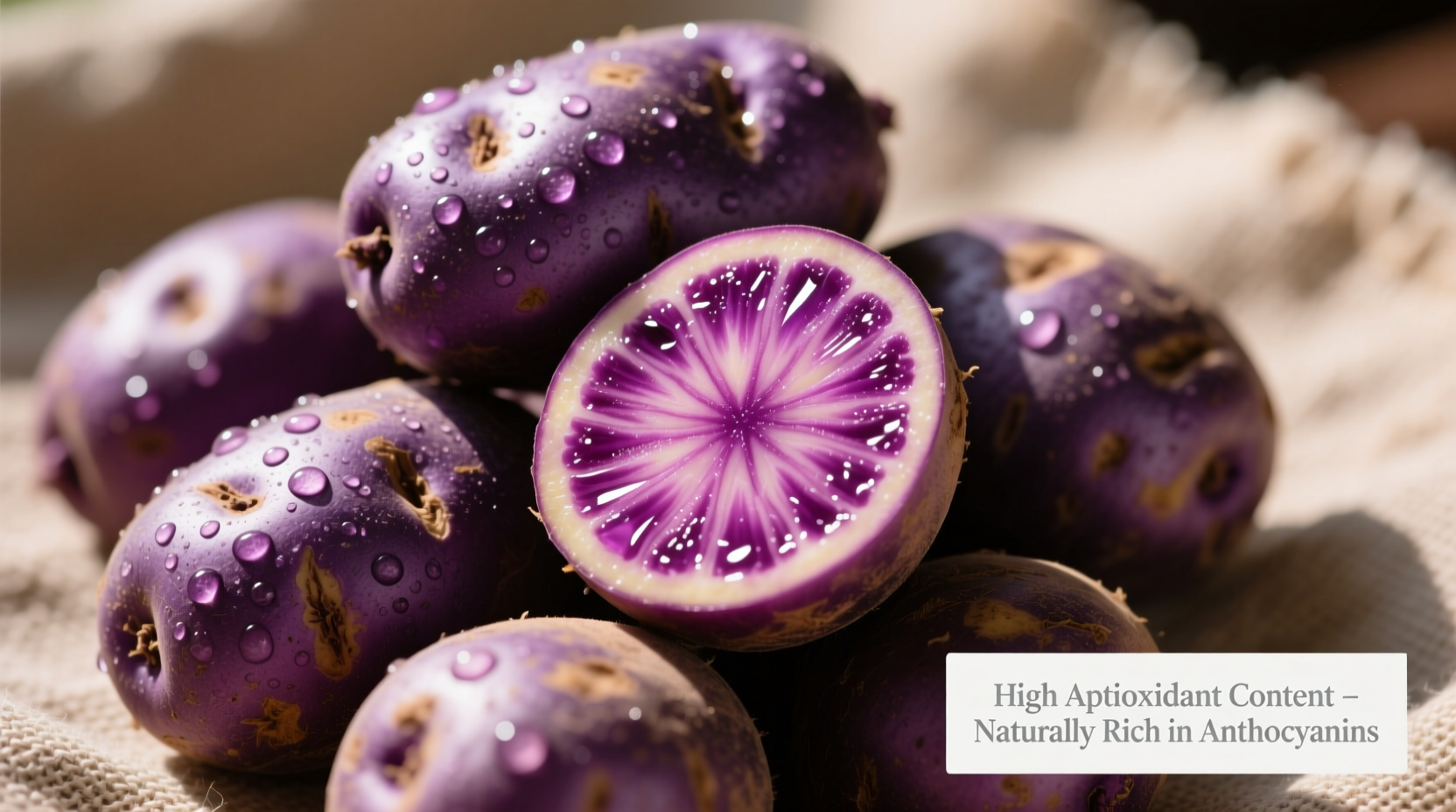 Purple potatoes with vibrant purple flesh showing high antioxidant content