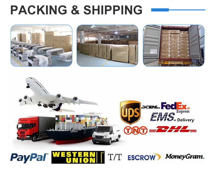 Comfortable Folding Living Room Sofa Bed Room Furniture Modern Solid Wooden Frame Livingroom Home Furniture American Style