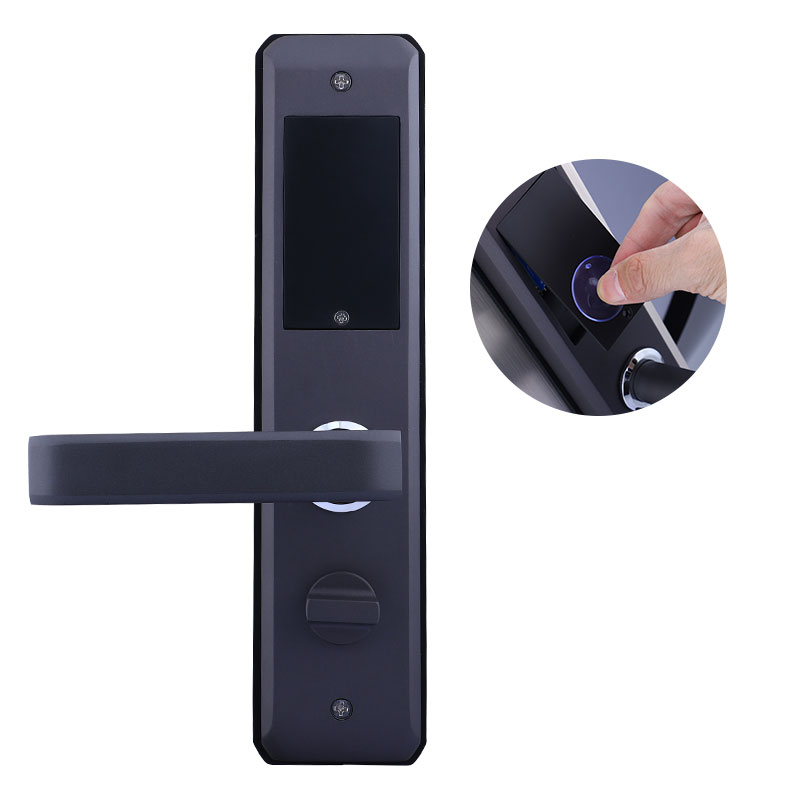 front door handle and lock