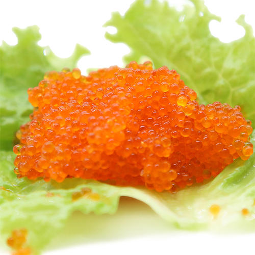 ovas alaranjadas dos peixes de voo do masago do tobiko para o sushi e culinárias japonesas