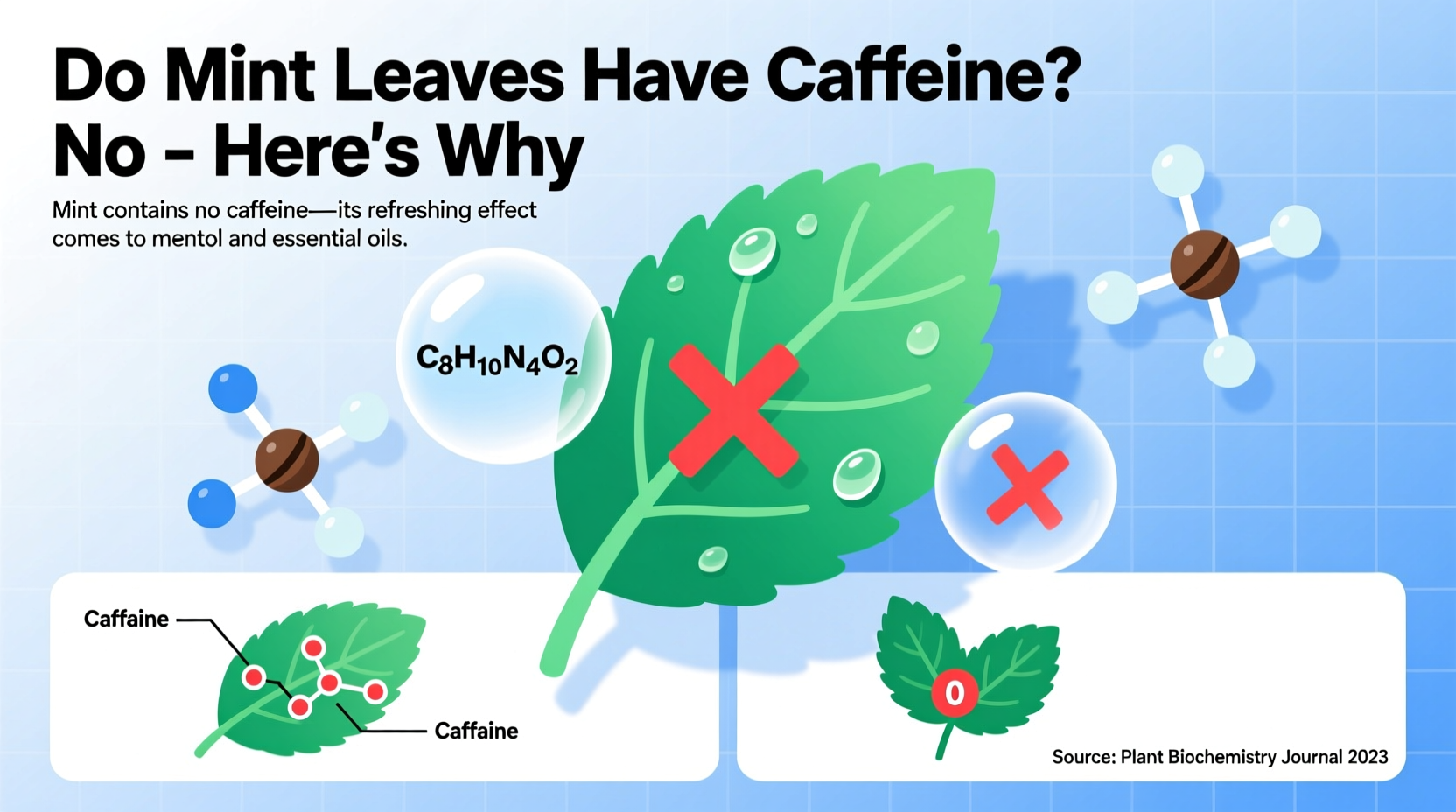 Do Mint Leaves Have Caffeine? No – Here's Why