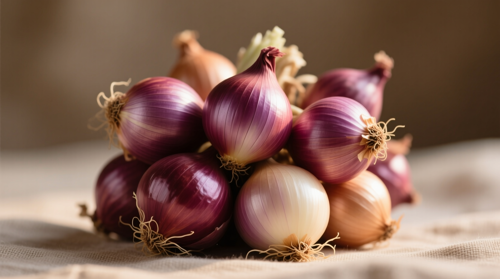 Shallot vs Onion: Visual Identification Guide