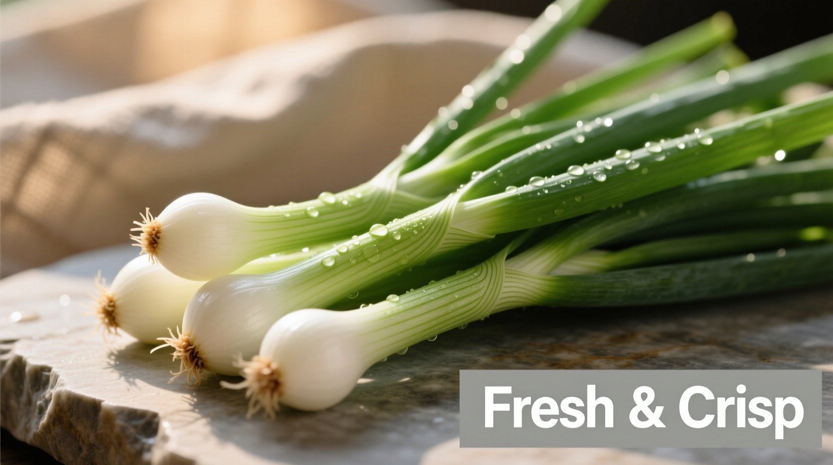 Fresh green onions with white bulbs and green stalks