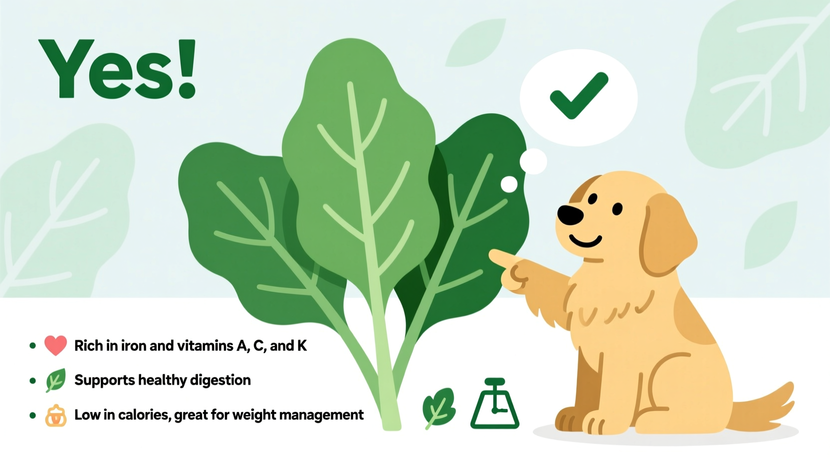 Can Dogs Eat Spinach? Complete Guide for Pet Owners