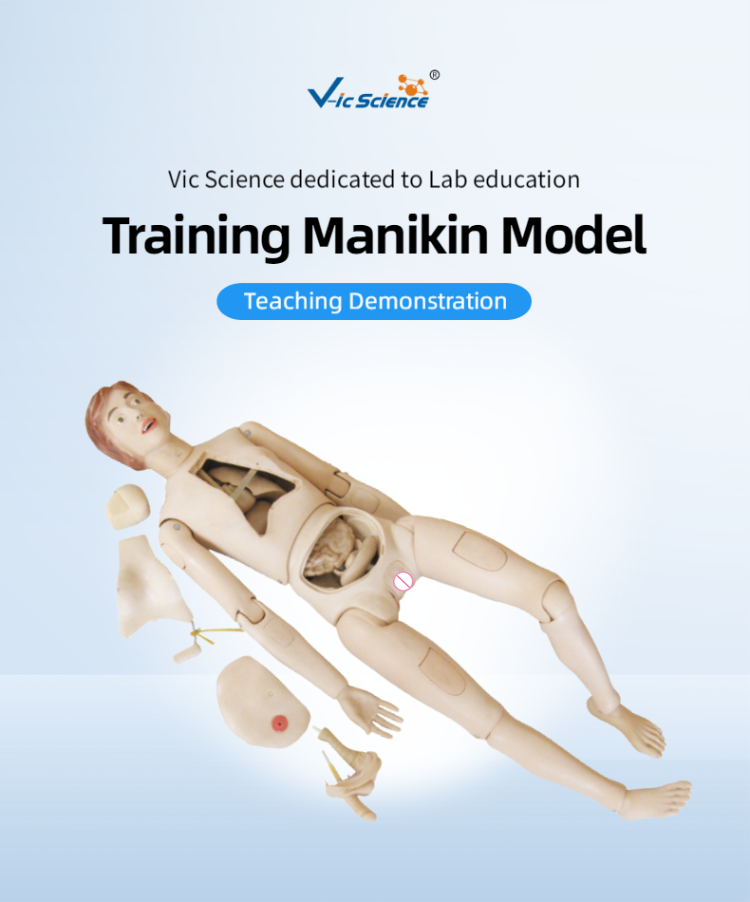 モデル多機能看護シミュレーションマネキン、看護医療訓練のための患者