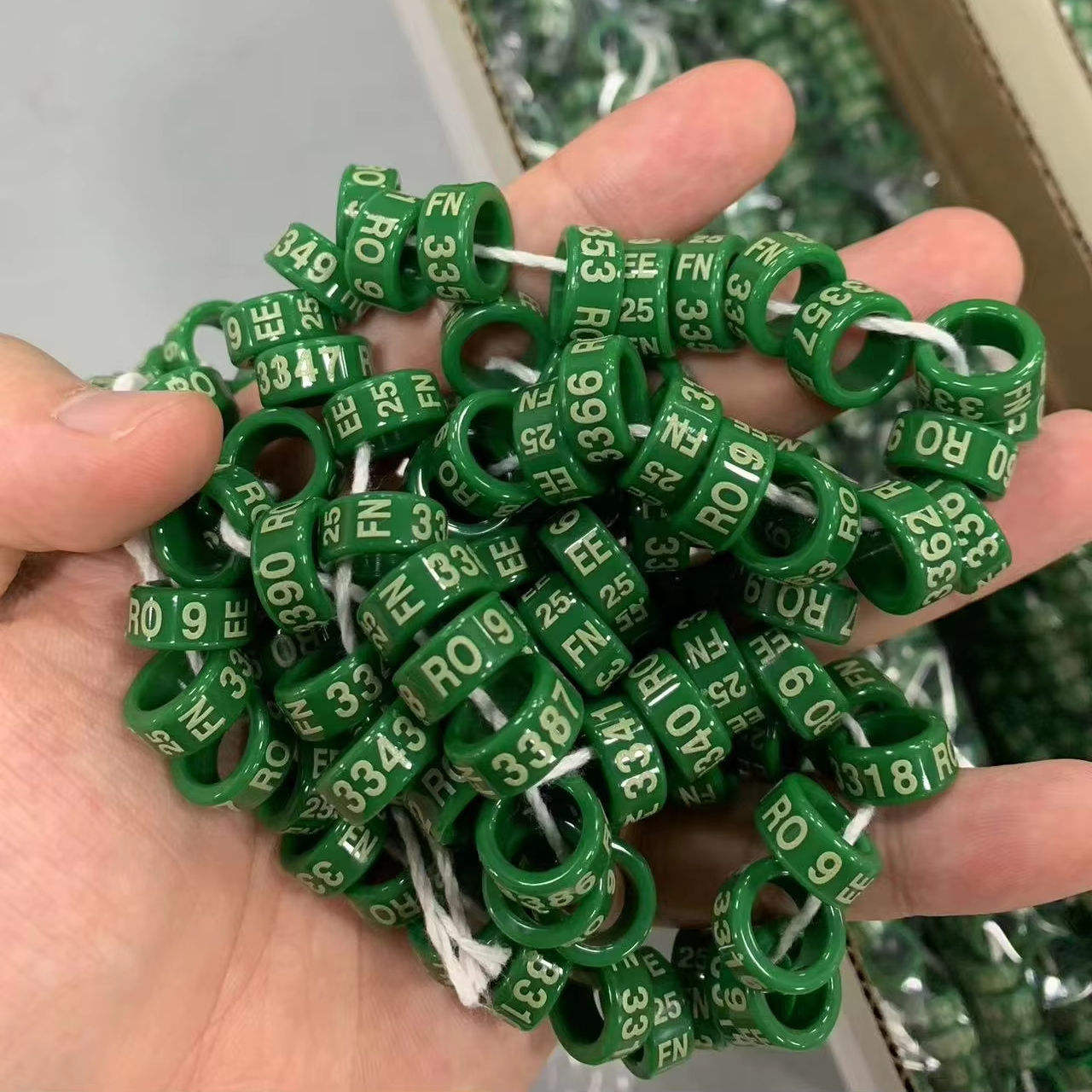 Are Mockingbirds Mean? Understanding Their Behavior