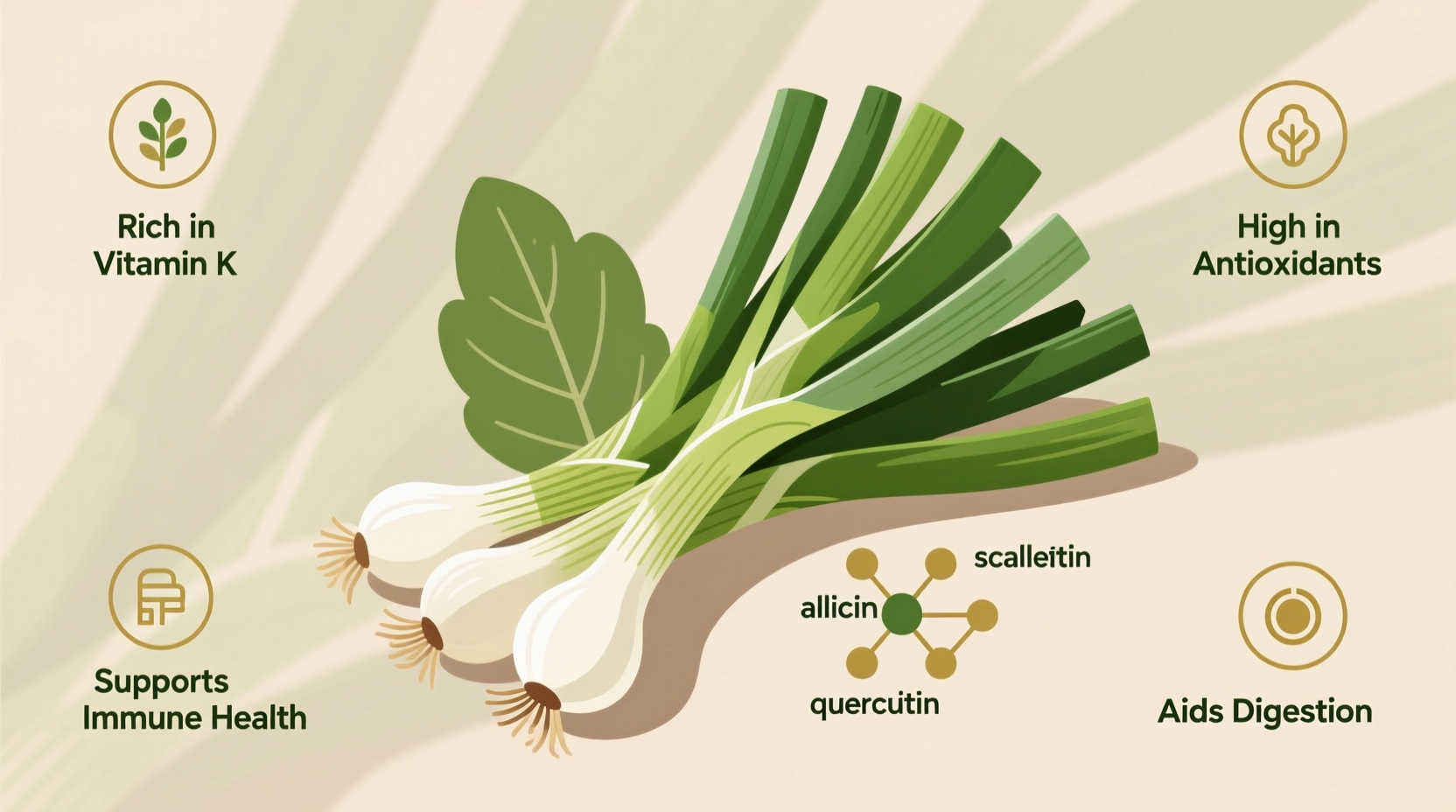 Green Onion Health Benefits: Science-Backed Nutritional Facts