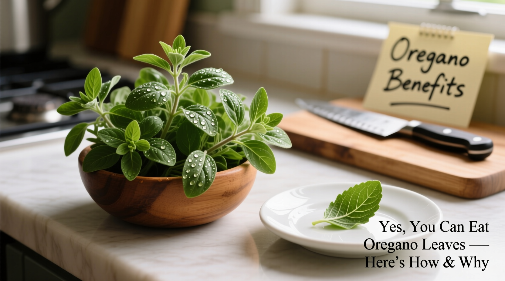 can you eat oregano leaves