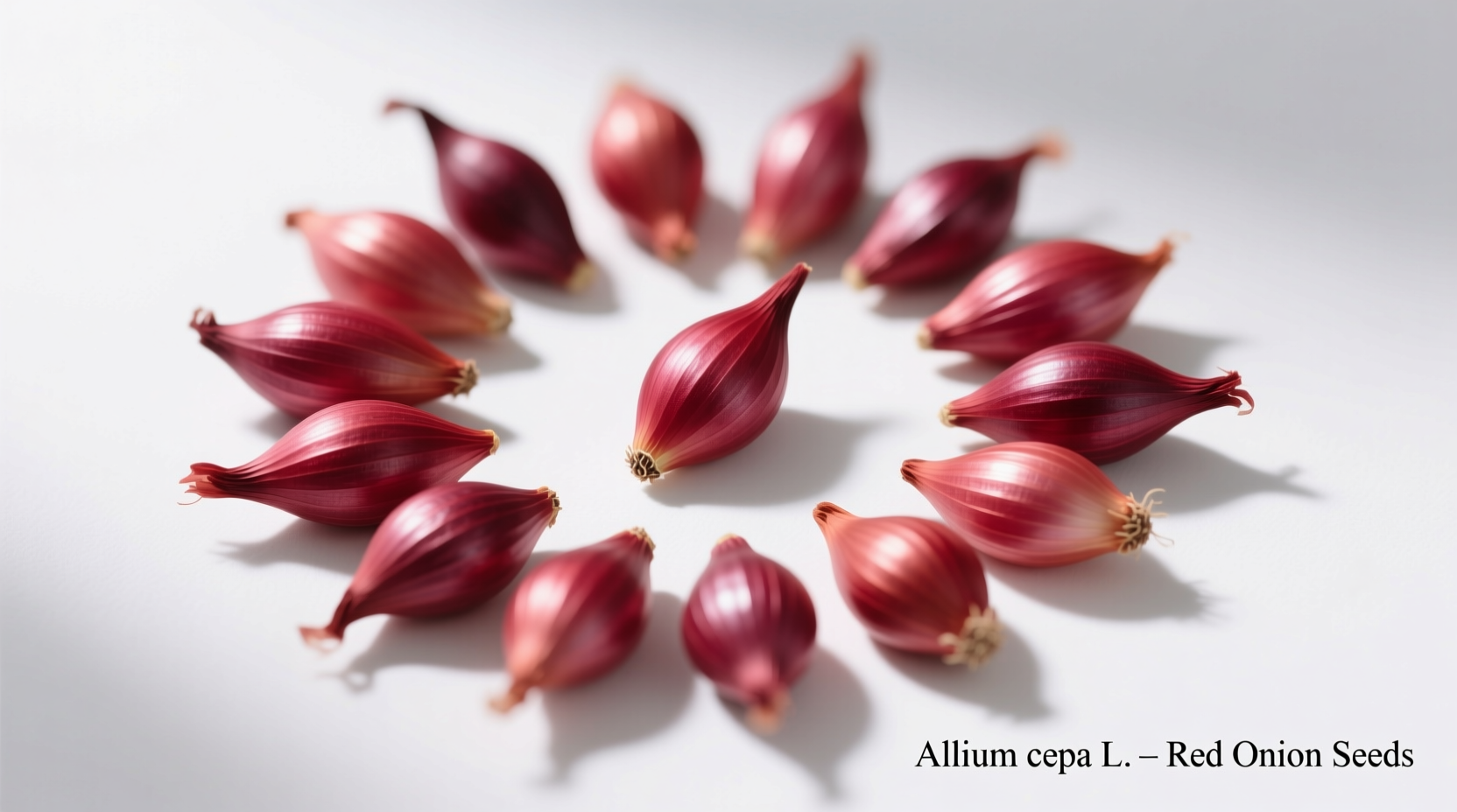 Red Onion Seeds: Complete Growing Guide for Gardeners