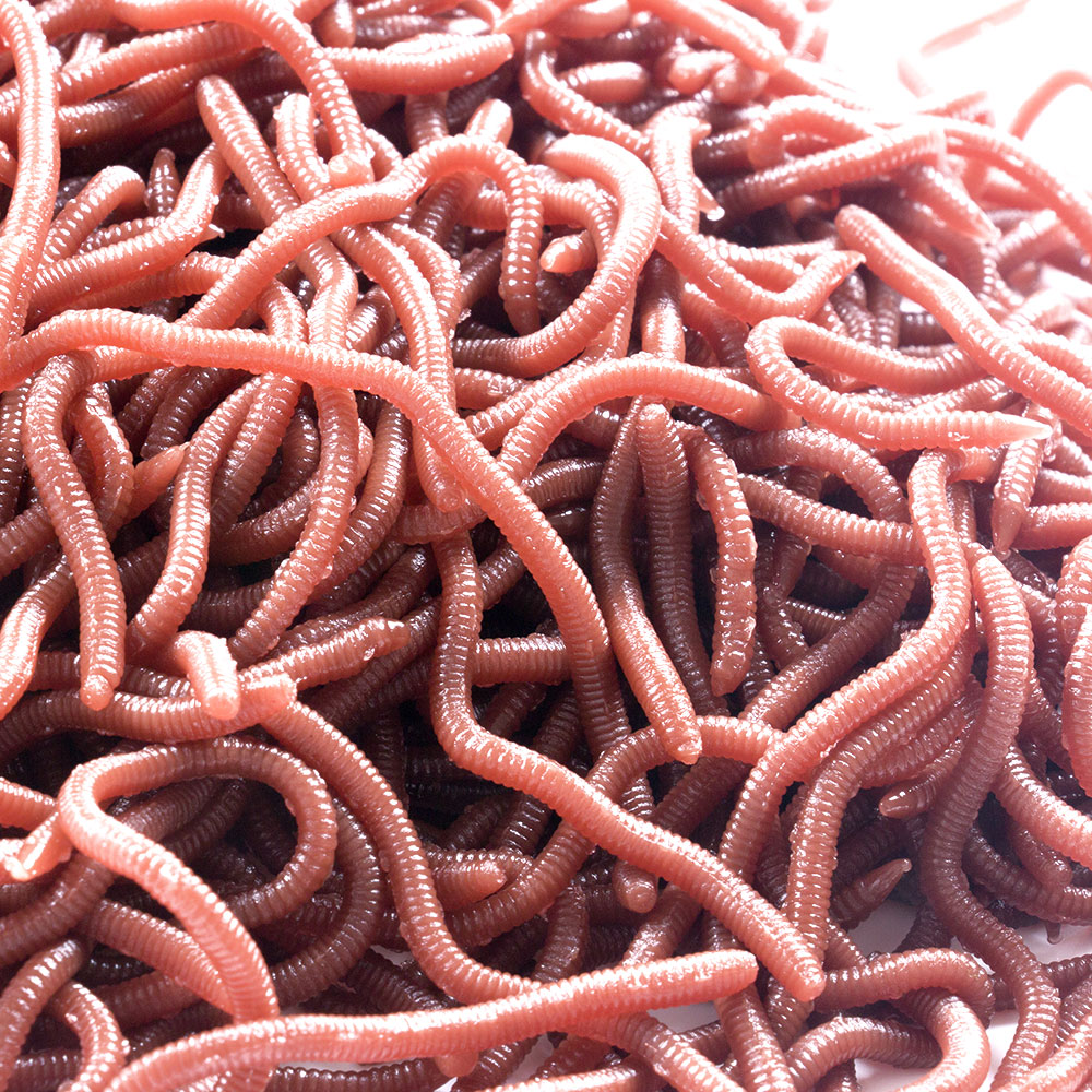 蚯蚓红虫人工钓鱼诱饵血虫swimbait诱饵 - buy earthworms,red worms