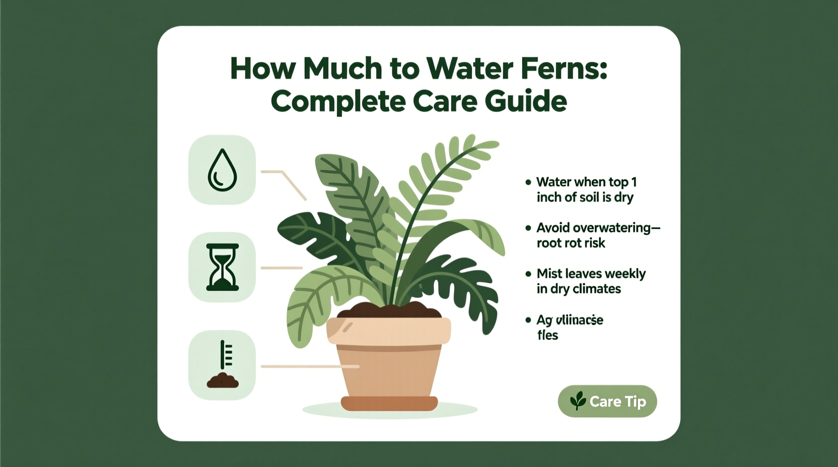 how much to water ferns